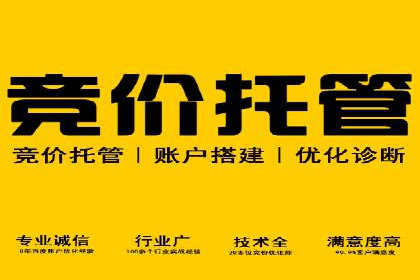案例解析：SEM竞价优化助力企业实现业绩增长